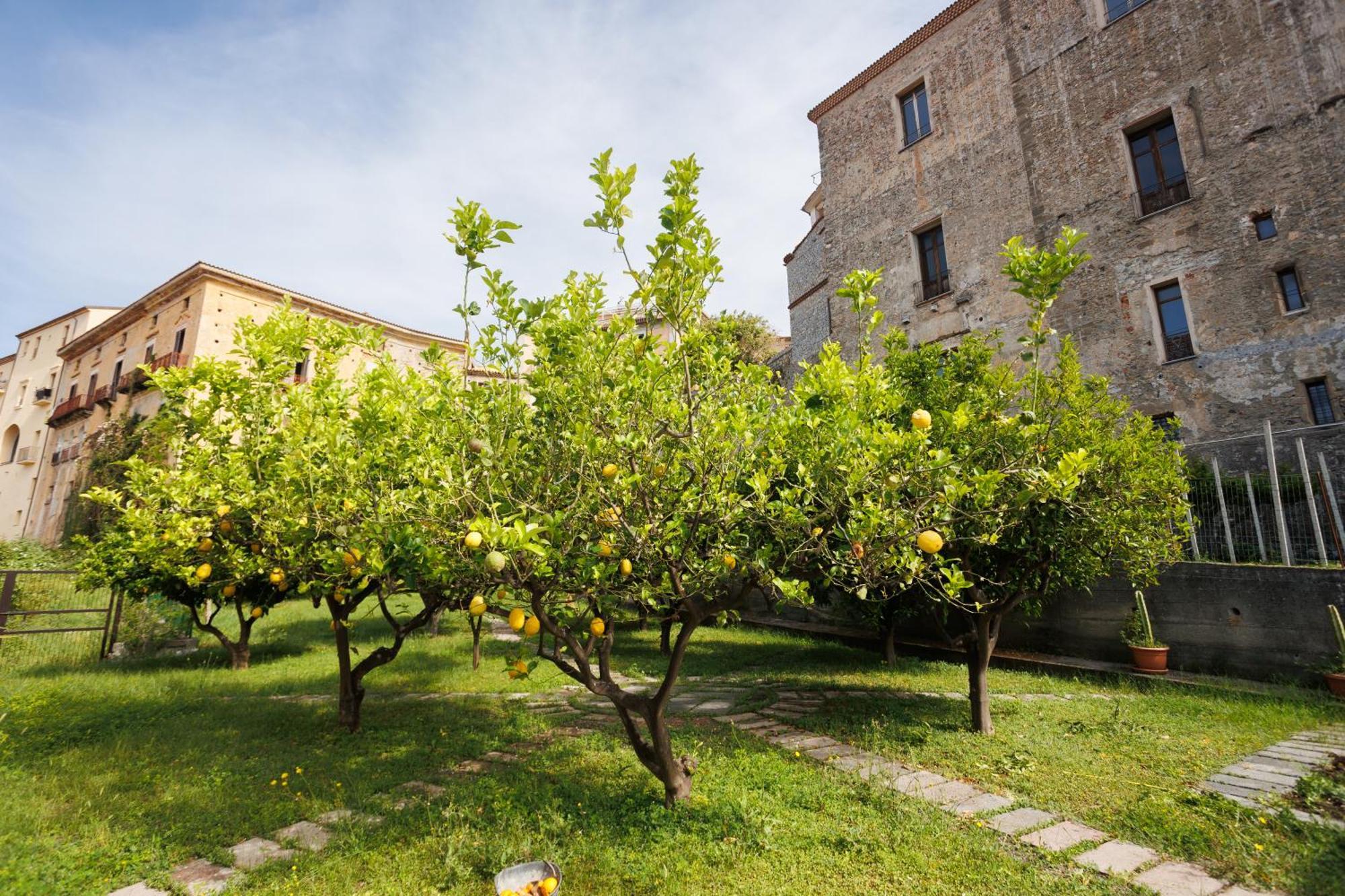Апартаменти The Lemon Tree House Скалеа Екстер'єр фото